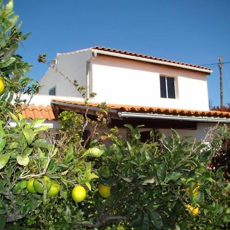 Orchard Cottage Granadilla De Abona Luaran gambar