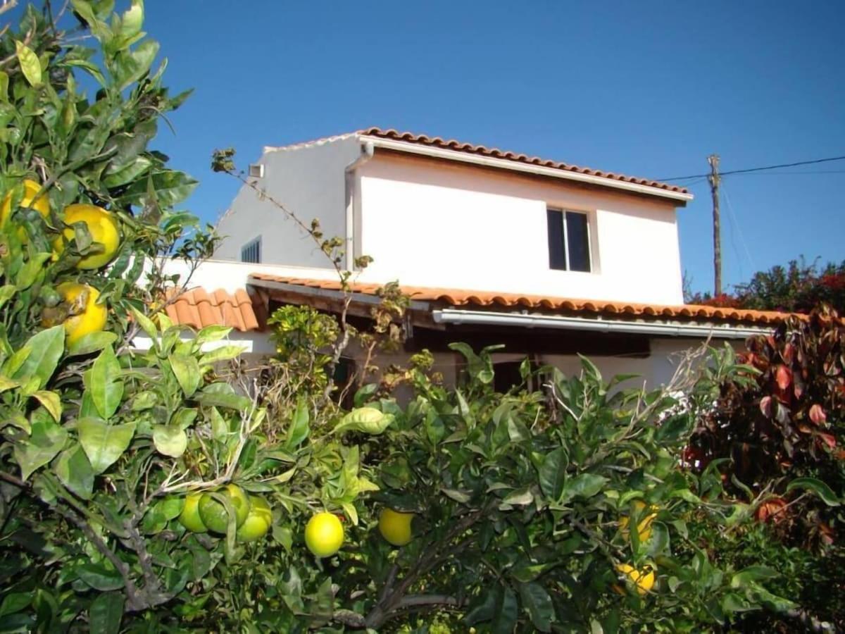 Orchard Cottage Granadilla De Abona Luaran gambar