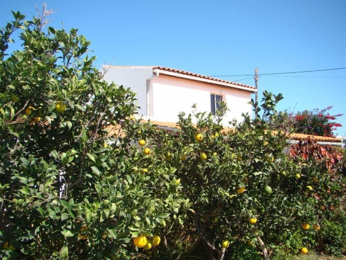 Orchard Cottage Granadilla De Abona Luaran gambar